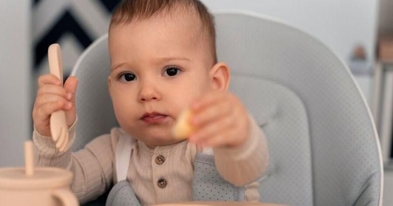 Pedoman Porsi Makan Anak 1 Tahun, Berapa Idealnya?